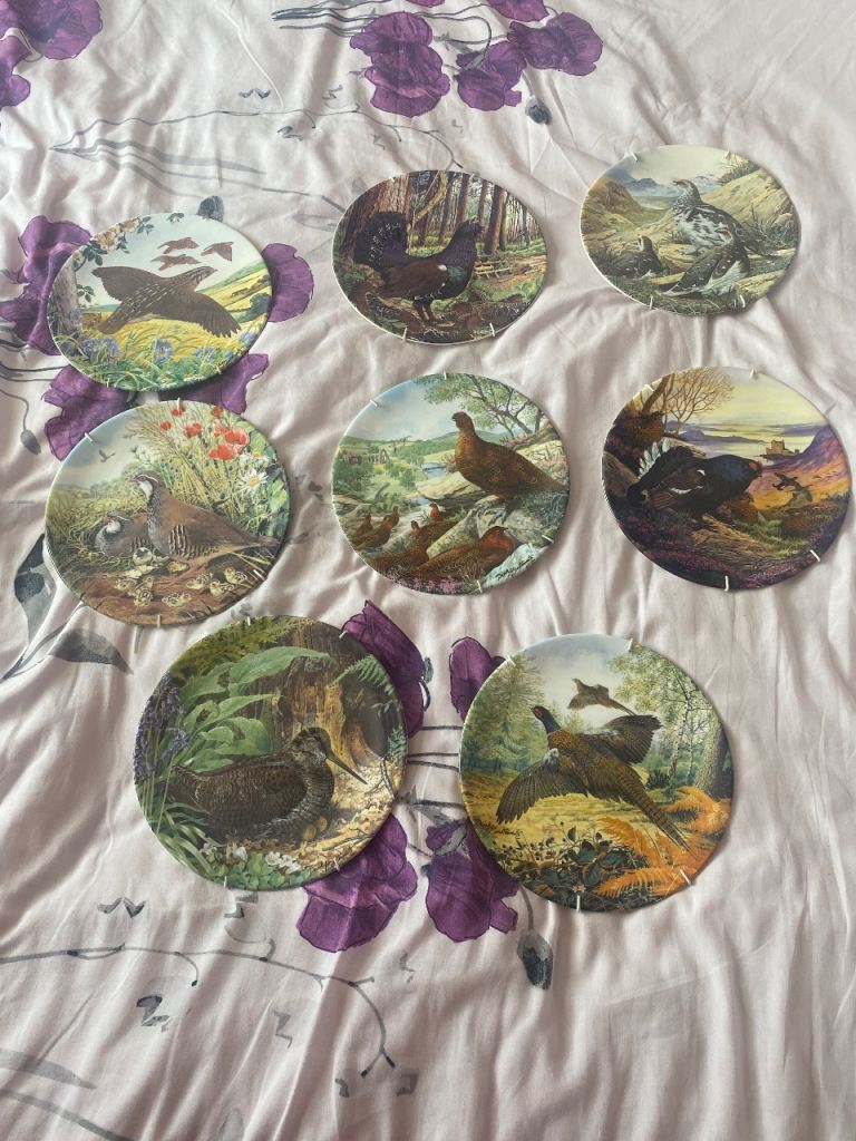 Royal Grafton Pheasants in Flight Collector Plates - Set of 7, As Good As New