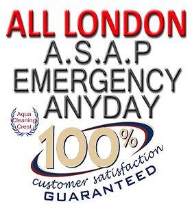 Short Notice Professional Deep House Cleaners - End Of Tenancy, Carpet, Domestic Cleaning Services