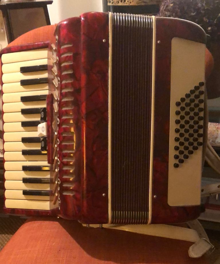 Parrot 48 bass piano accordion and case