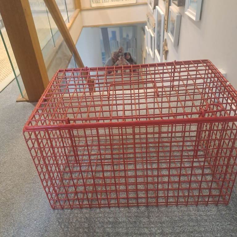 wire cat carrying carrier
