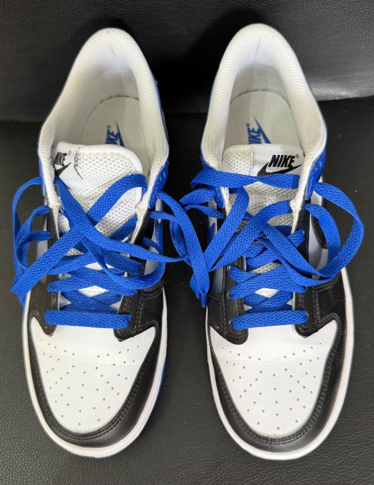 image for Nike dunk lows