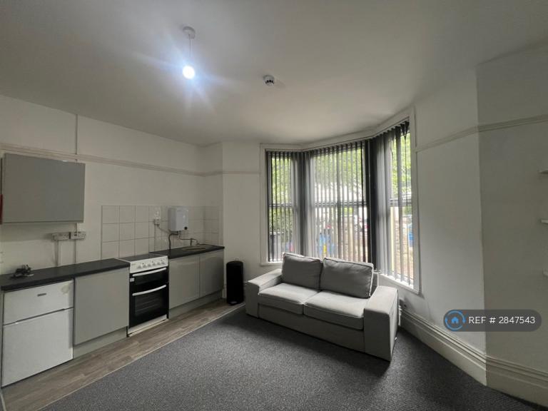 1 bedroom flat in Oakfield St, Cardiff, CF24 (1 bed) (#2847543)