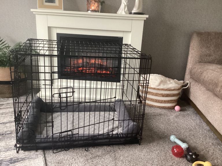 Dog crate and mattress 
