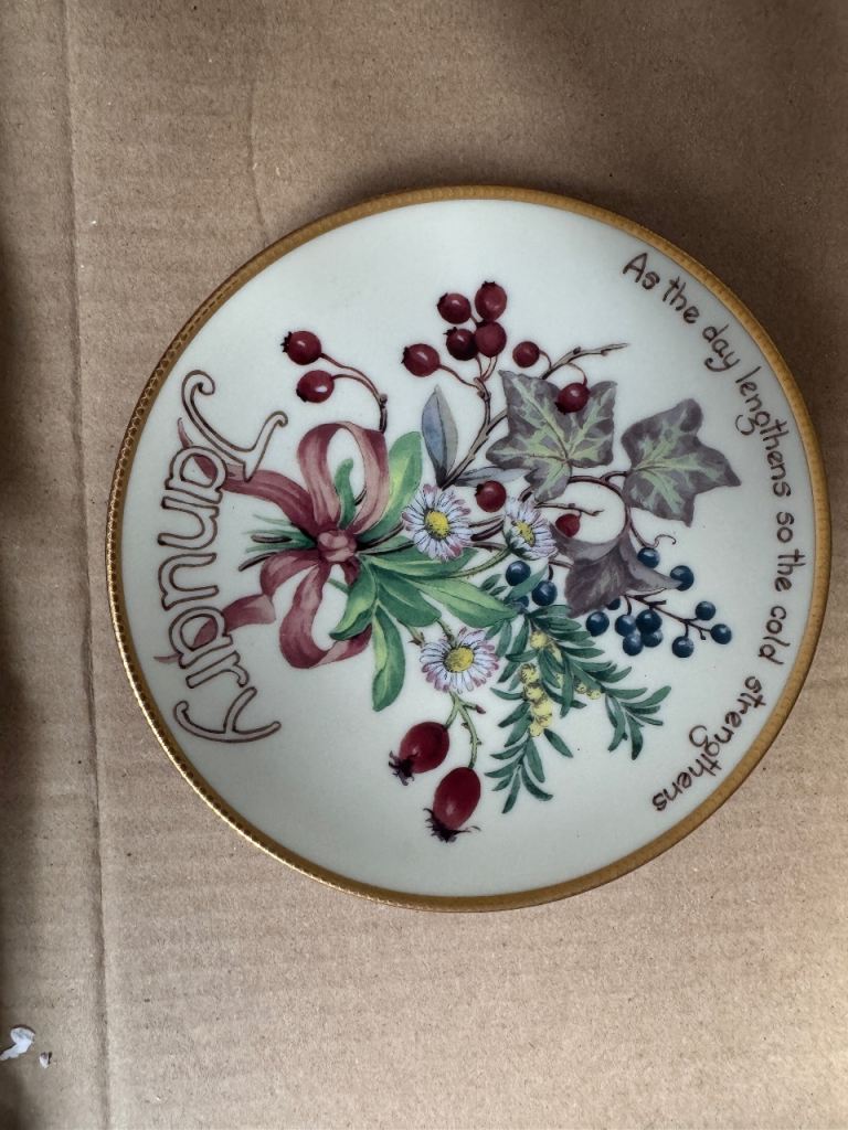 Country Diary of an Edwardian Lady Plates – Good Condition