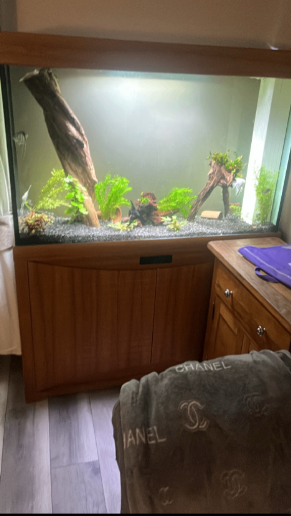 Aquarium 