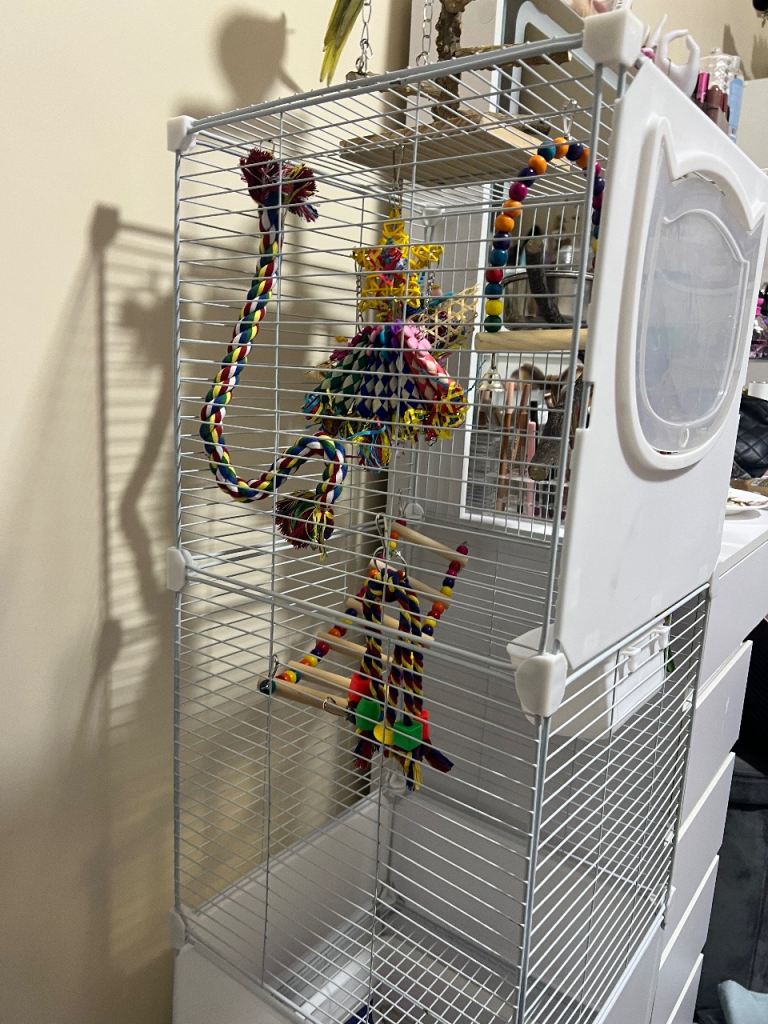 Bird medium cage 
