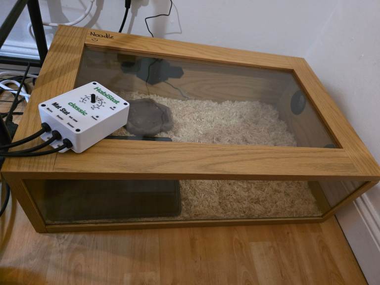 Snake enclosure (No snake included)