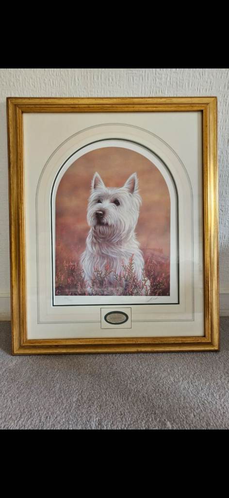 John Silver Hand Signed Limited Edition Print - West Highland Terrier Westie Framed (244/750)Item.