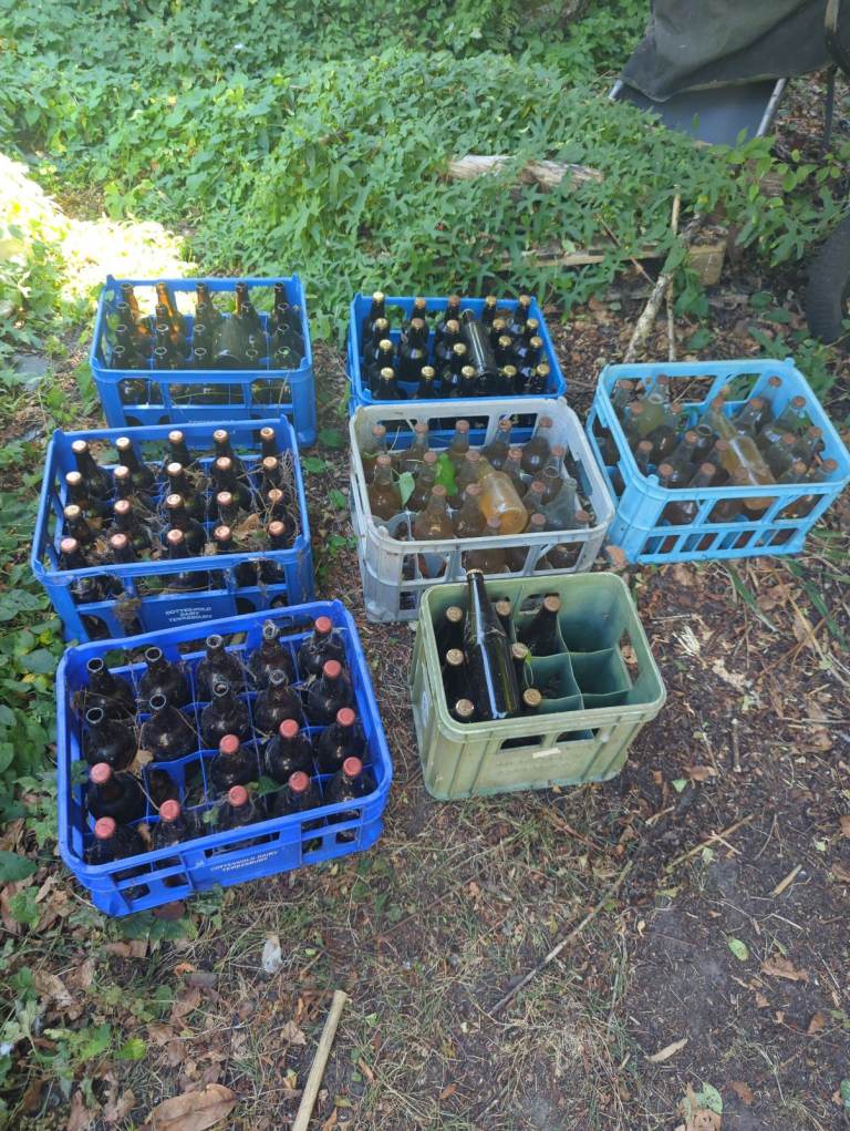 Beer bottles for brewing 6-7 crates. Crates included 