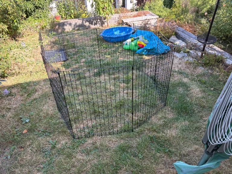 Dog pen