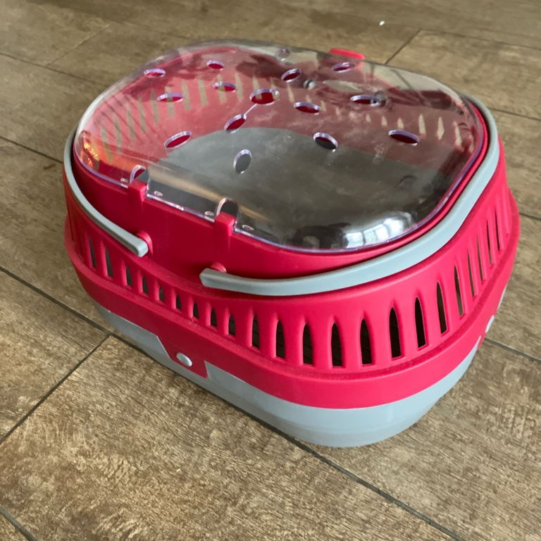Rosewood Animal Pet Carrier For Hamsters, Mice & Gerbils 30cm x 23cm x 21cm