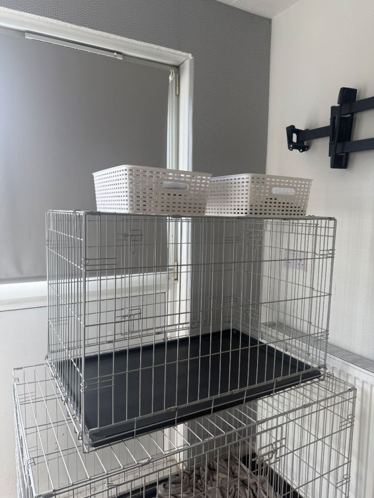 Dog cage for sale