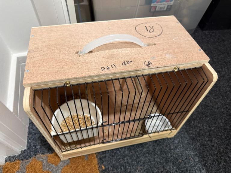 Wooden Transport Cage / Carry Box with Perches for Small to Medium Birds