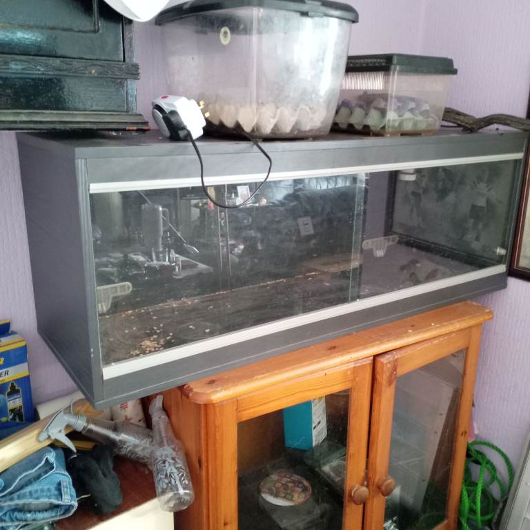 4ft vivarium 