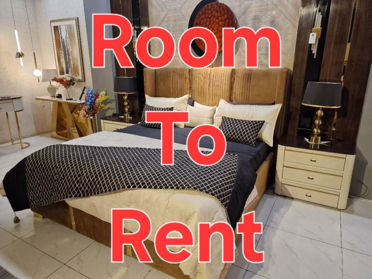 CLEAN DOUBLE ROOM FOR WORKING PROFESSIONALS / STUDENTS IN ILFORD IG1 NEAR STATION