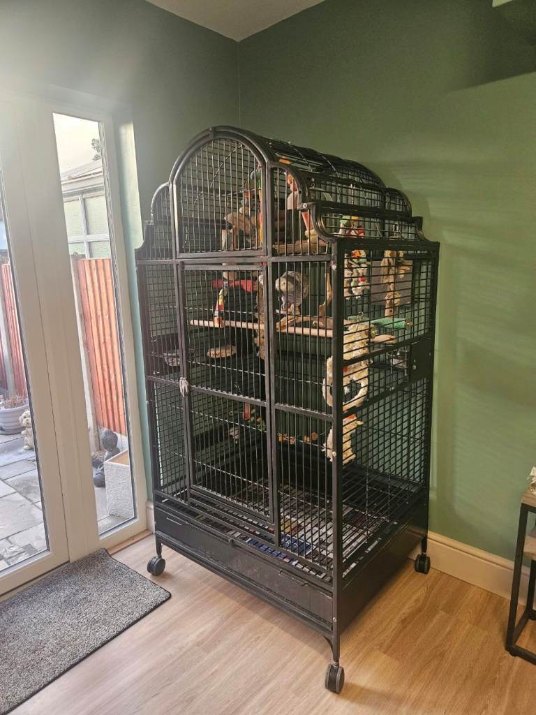Extra large parrot cage