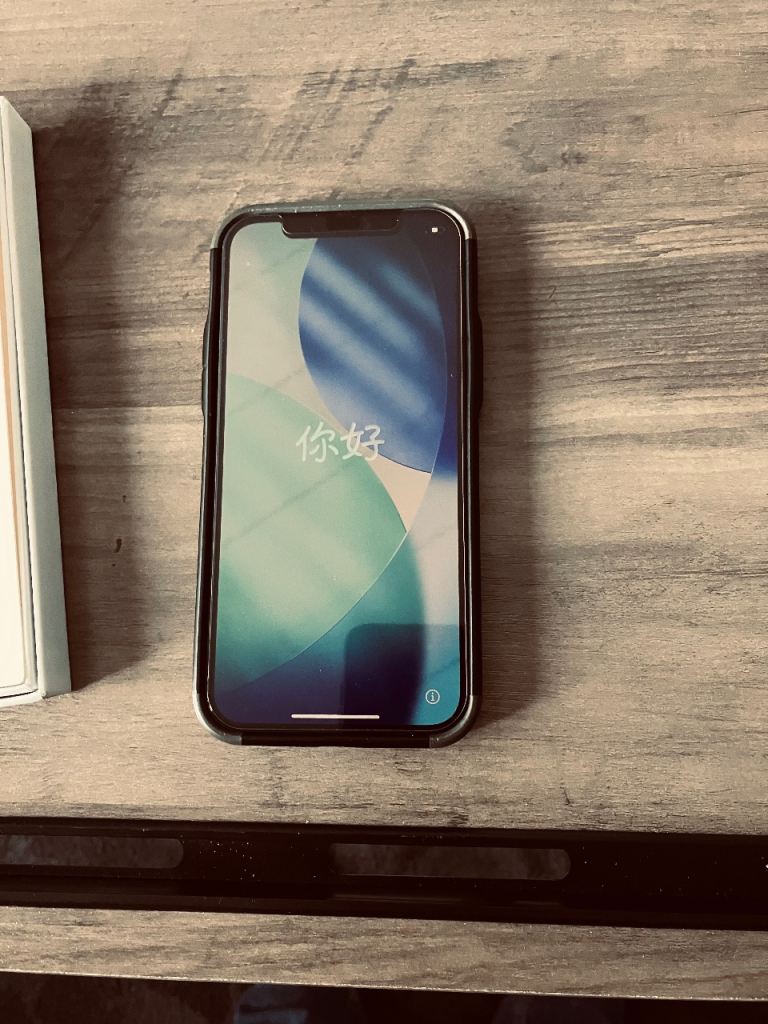 iPhone 12 