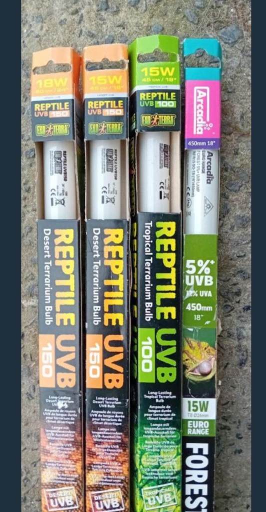 Vivarium / Reptile lights 