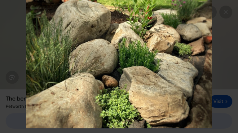 Garden Rocks / Boulder Wanted