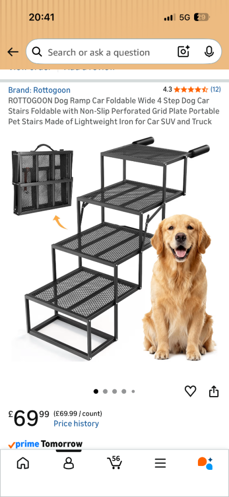 Dog ramp