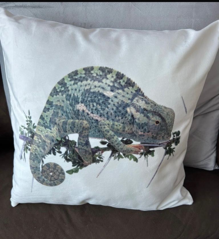 Lizard Cushion – Cream – 40×40cm – Washable Cover