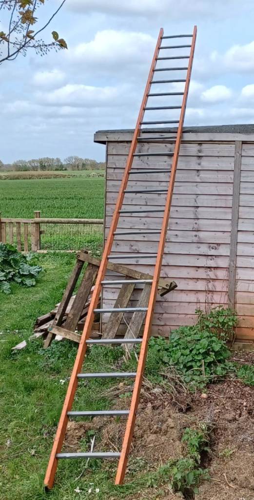 Metal scaffolding ladder 