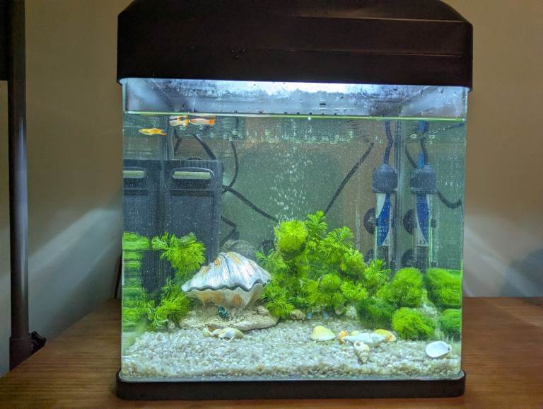 Fish Keeper MyAquarium 16 fish tank + decorations, air pump, water filter
