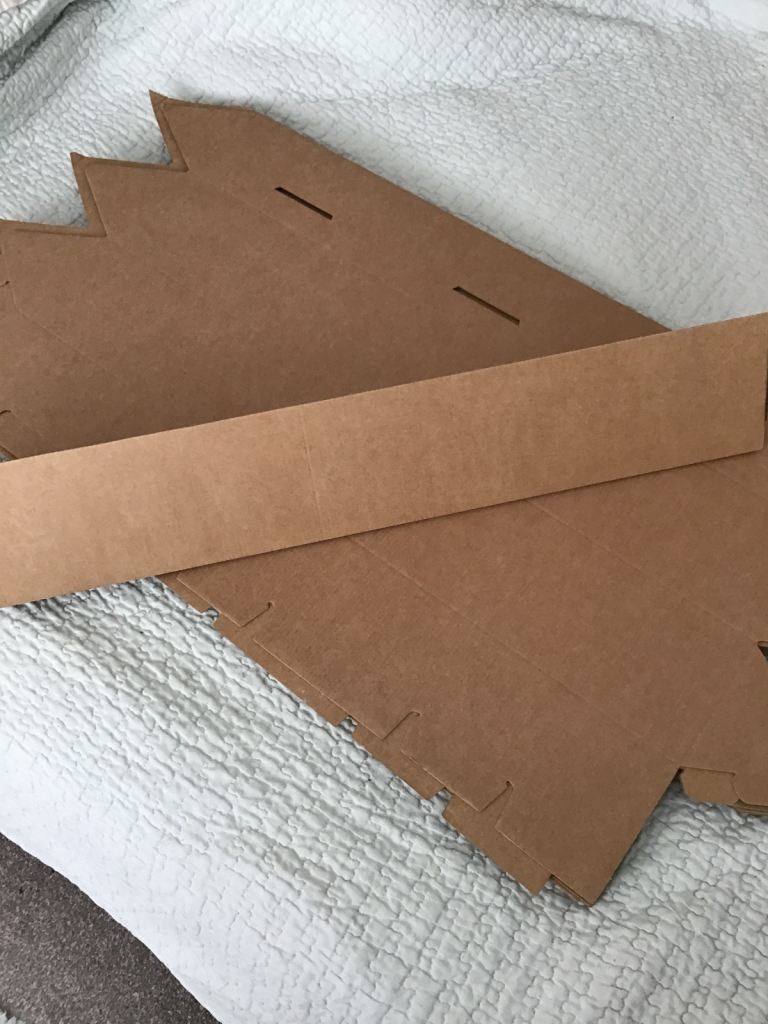 Cardboard packaging 