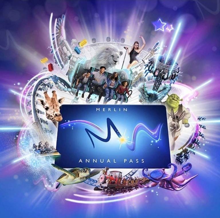 Merlin digital pass code