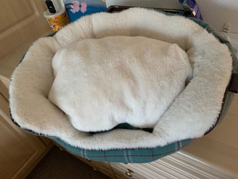 Bed for cat