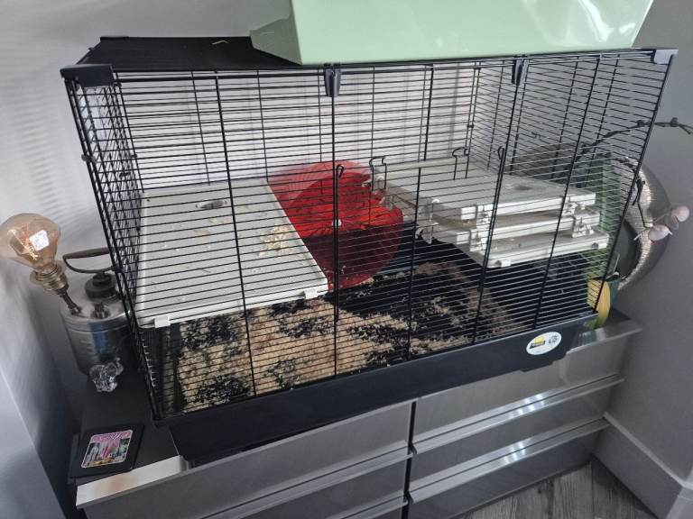 Pet cage, hamster cage