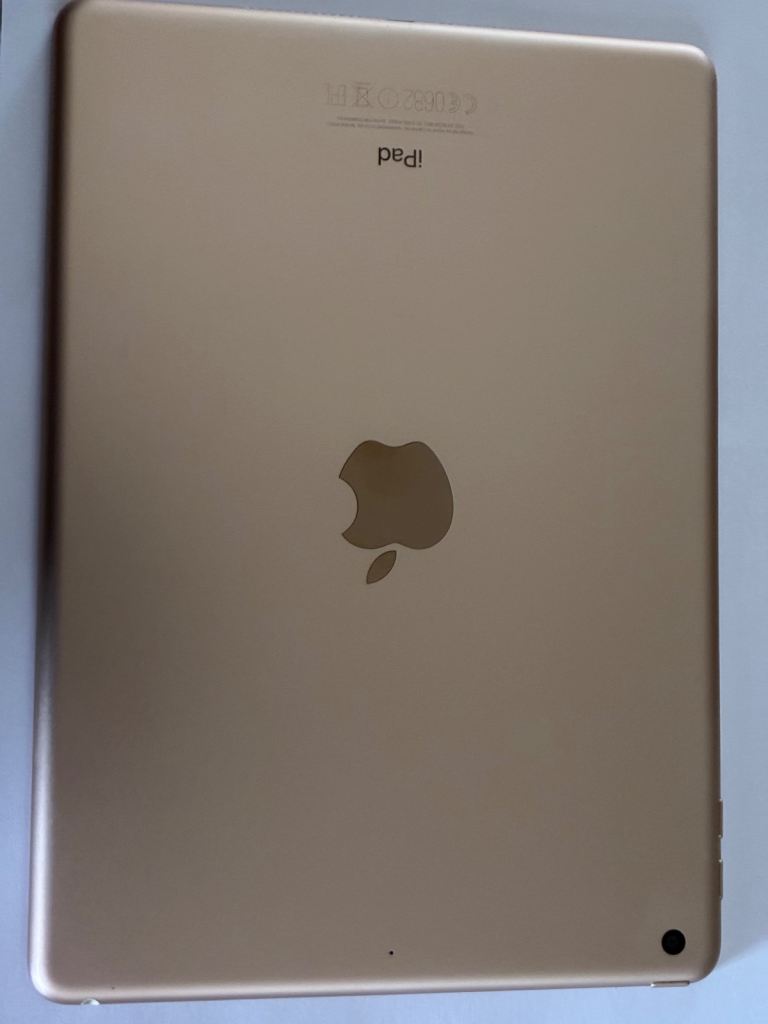 Apple I pad