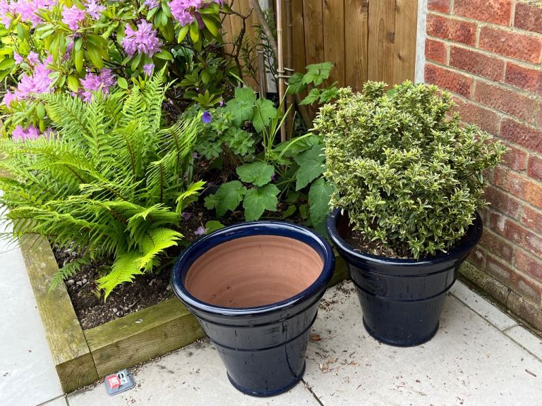 Two Blue RHS Terracotta Glazed Garden Planters
