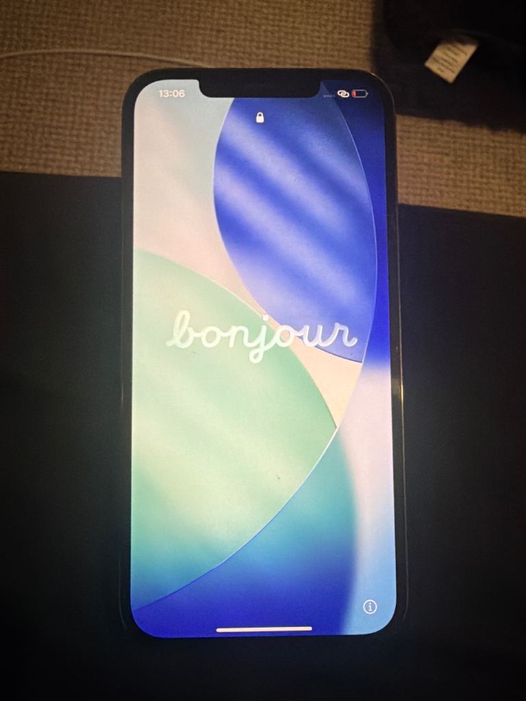 iPhone 12 Pro Max 