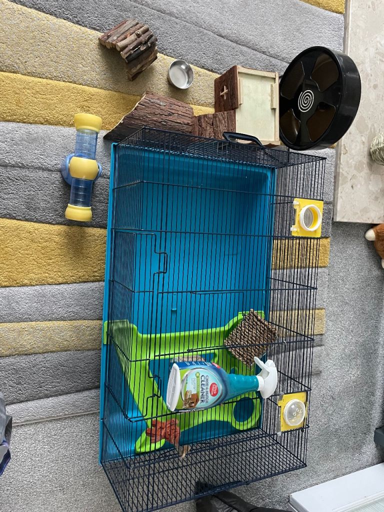 Hamster cage 