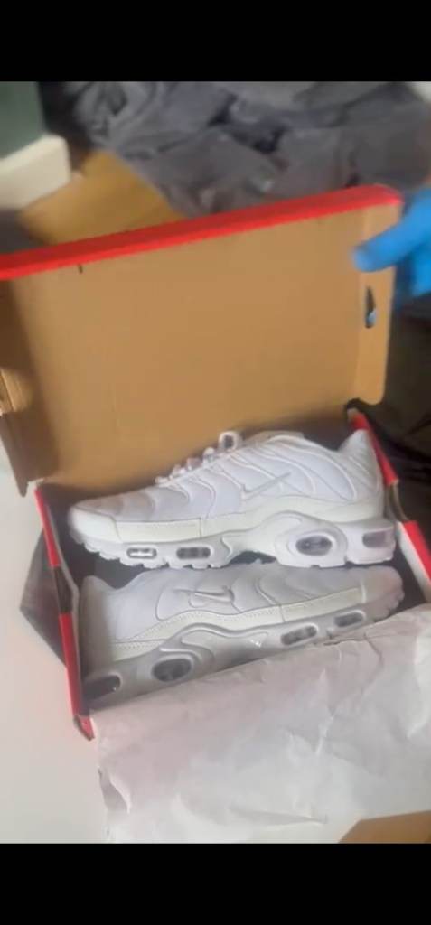 Nike white Tns 