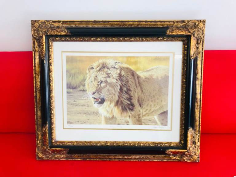 Stephen Gayford “Barbary Prince” – Signed Limited Edition Print (437/650) w/ COA
