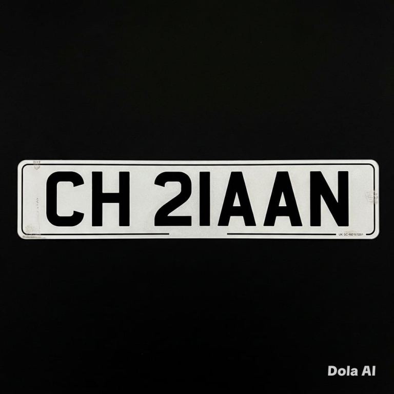 ZAIN PRIVATE NUMBER PLATE