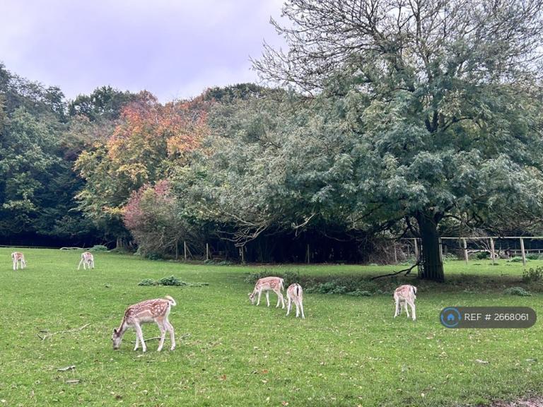 2 bedroom flat in Britten Close, London, NW11 (2 bed) (#2668061)