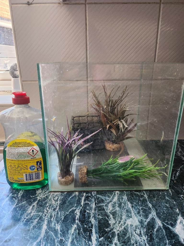 Two aquariums 