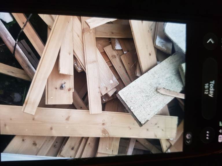 wood Free