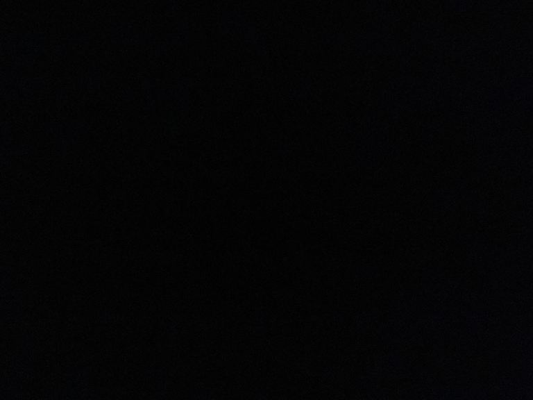 Free women’s haircut 