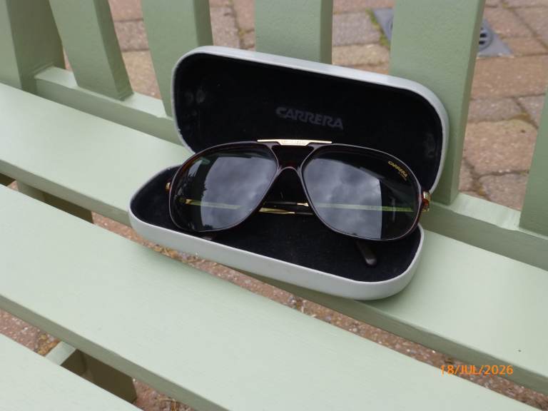 Carrera Sunglasses with Case – Good Condition