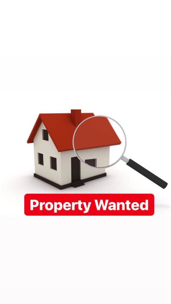 2/3 bedroom property in wanted to rent 