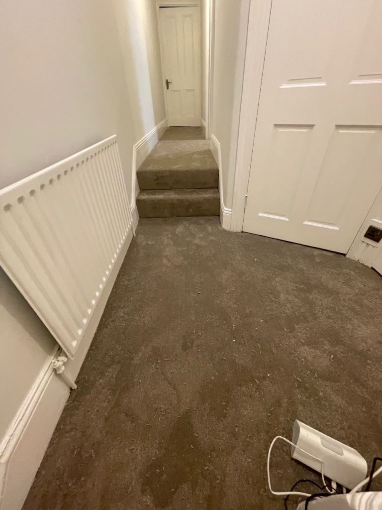 Carpet fitting and supply 