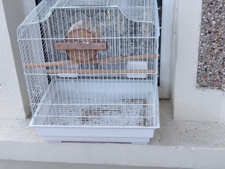 White Metal Bird Cage with Perches and Feeder – Good Condition