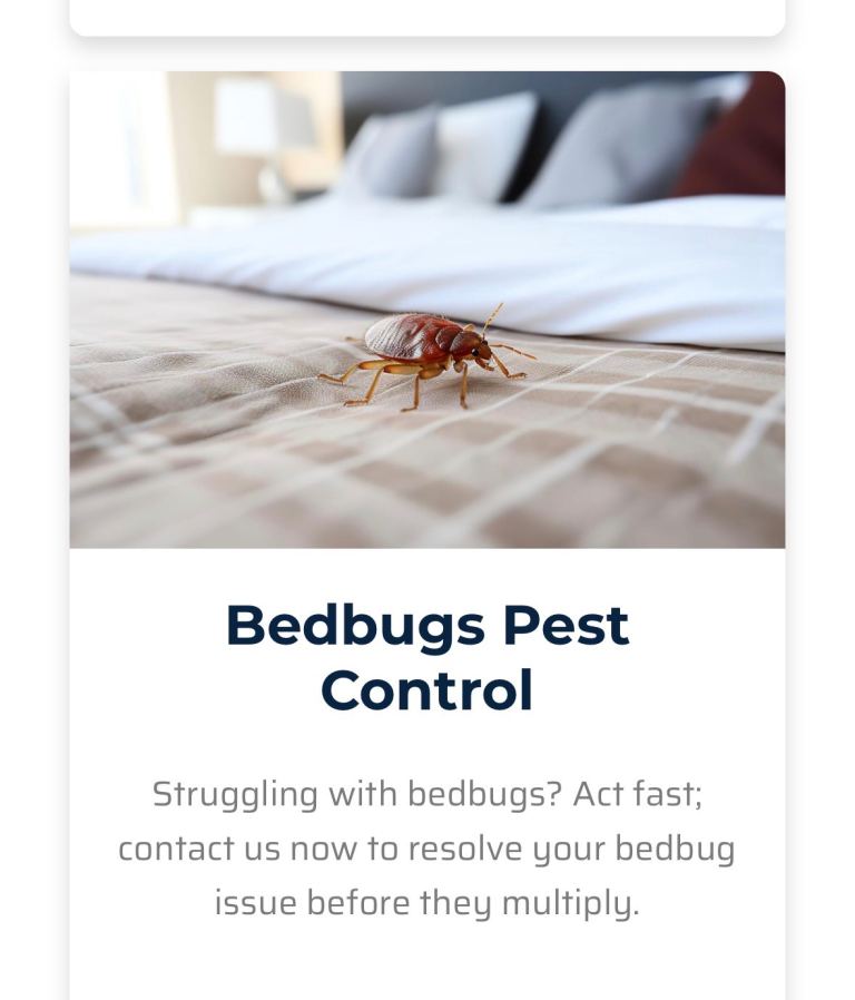 Pest control services Rat Mice Bedbugs Cockroaches Mouse Ants call now