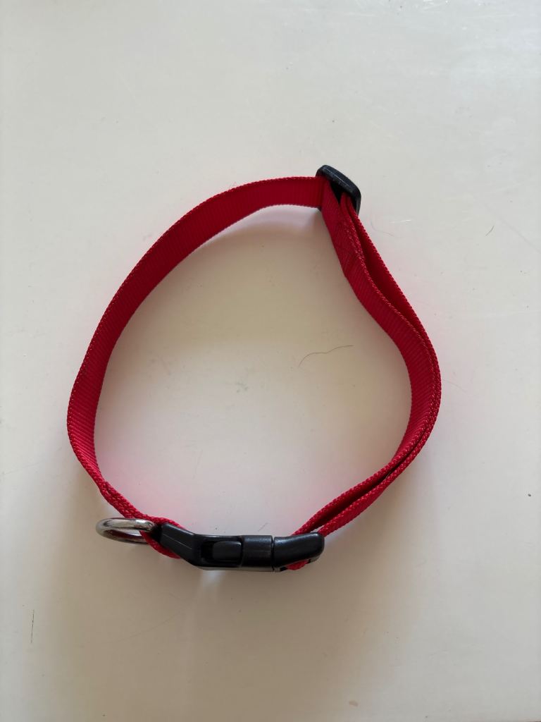 Pets at home dog collar for large dogs
