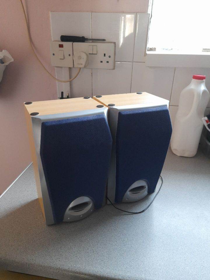 Bush Wood Finish Speakers – Good Working Condition