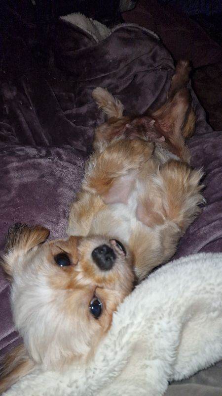 Cleo if the add is up shes still available 